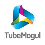 Seed Round - TubeMogul