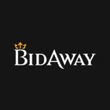 Seed Round - BidAway