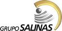 Grupo Salinas