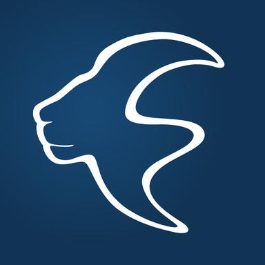 Seed Round - Lionsharp Voiceboard