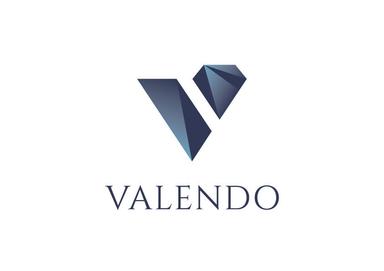 Seed Round - Valendo