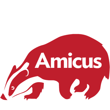 Seed Round - Amicus