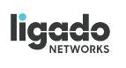 Ligado Networks