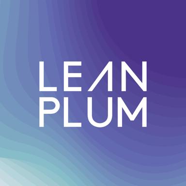 Angel Round - Leanplum