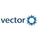 Vector