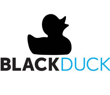 Series F - BlackDuck