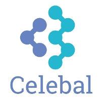 Celebal Corp