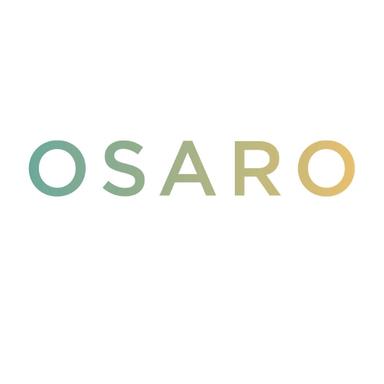 Seed Round - Osaro