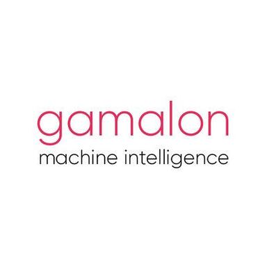 Seed Round - Gamalon