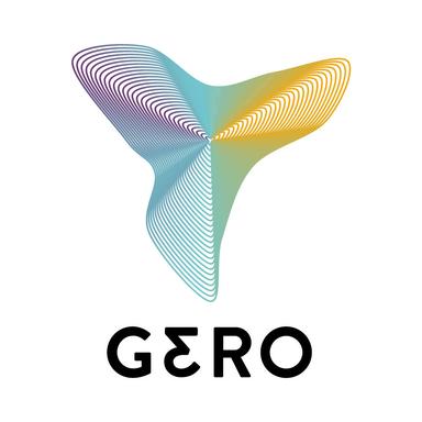 Seed Round - Gero