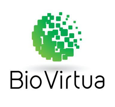 Convertible Note - Biovirtua