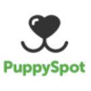 Private Equity Round - PuppySpot