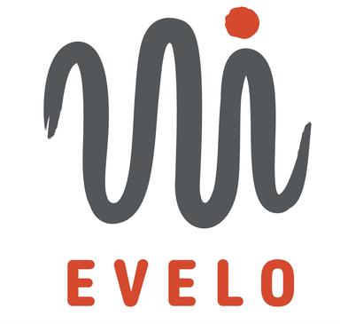 Post-IPO Debt - Evelo Biosciences