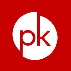 Private Equity Round - PK Global