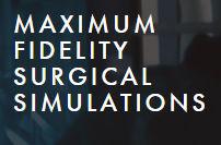 Seed Round - Maximum Fidelity Surgical Simulations