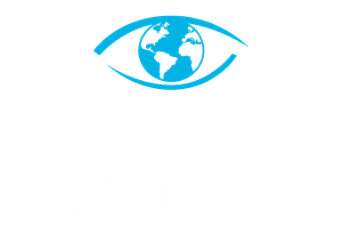 Grant - The Witness Institute