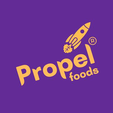 Pre Seed Round - Propel Foods