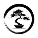 Seed Round - Bonsai