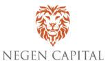 Negen Capital Services