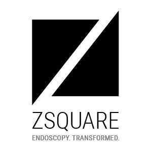 Private Equity Round - Zsquare